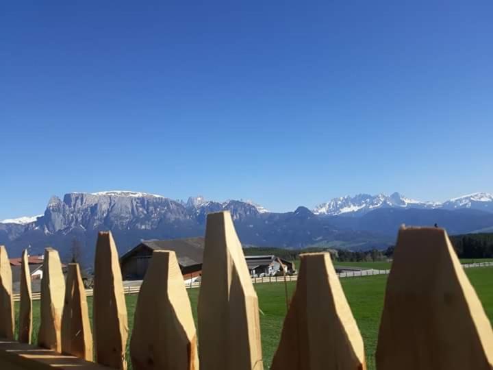 Oberpfaffstallerhof Collalbo Exterior foto